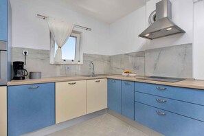 Fridge, oven, stovetop, dishwasher