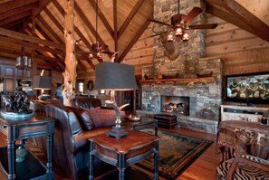 Televisión, chimenea, reproductor de DVD, libros