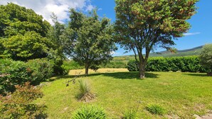 A grassy landscape with trees and shrubs. - Les Lauriers Roses: Heated pool, unspoilt nature (Saint-Vincent-de-Barrès)