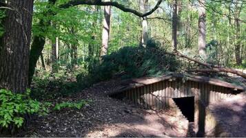 Terrein van de accommodatie