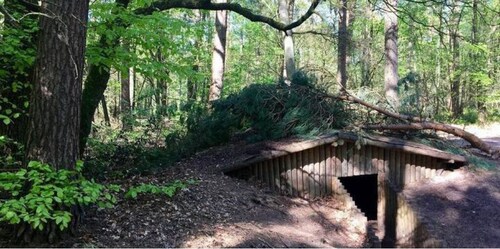 Cottage: a cosy cabin in the woods