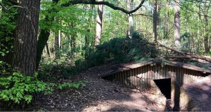 Cottage: a cosy cabin in the woods