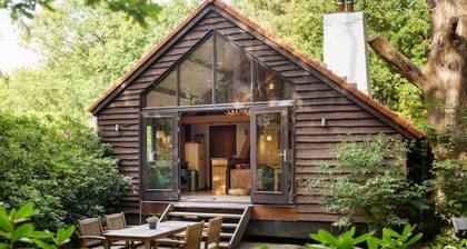 Treehouse Studio: style & comfort with forest view