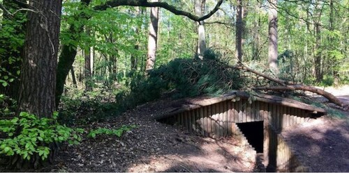 Wildhoef: cosy forest lodge 1 hr from Amsterdam.