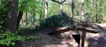 Larix, a luxury forest cabin at 1hr from Amsterdam