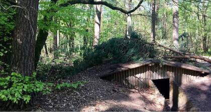 Larix, a luxury forest cabin at 1hr from Amsterdam
