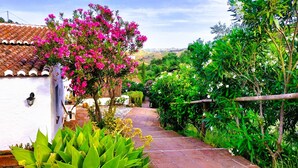 A garden pathway leading to a white building with a tiled roof, surrounded by lush greenery and flowering plants. - Casa 3/Andalusian architecture in a beautiful green oasis/1 km from El Borge (El Borge)