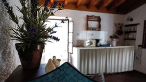 A rustic kitchen with a potted plant, a vintage radio, and a wooden chair. - Casa 3/Andalusian architecture in a beautiful green oasis/1 km from El Borge (El Borge)