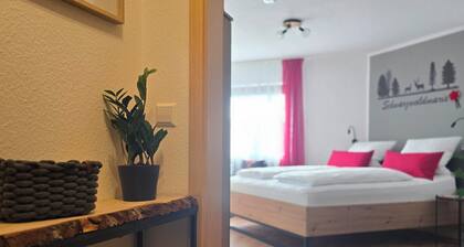 Schwarzwaldmarie Titisee bathtub kitchen balcony underground parking near the lake!