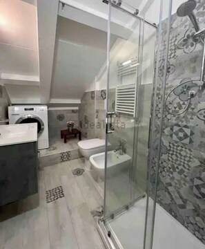 Shower, hair dryer, bidet, towels
