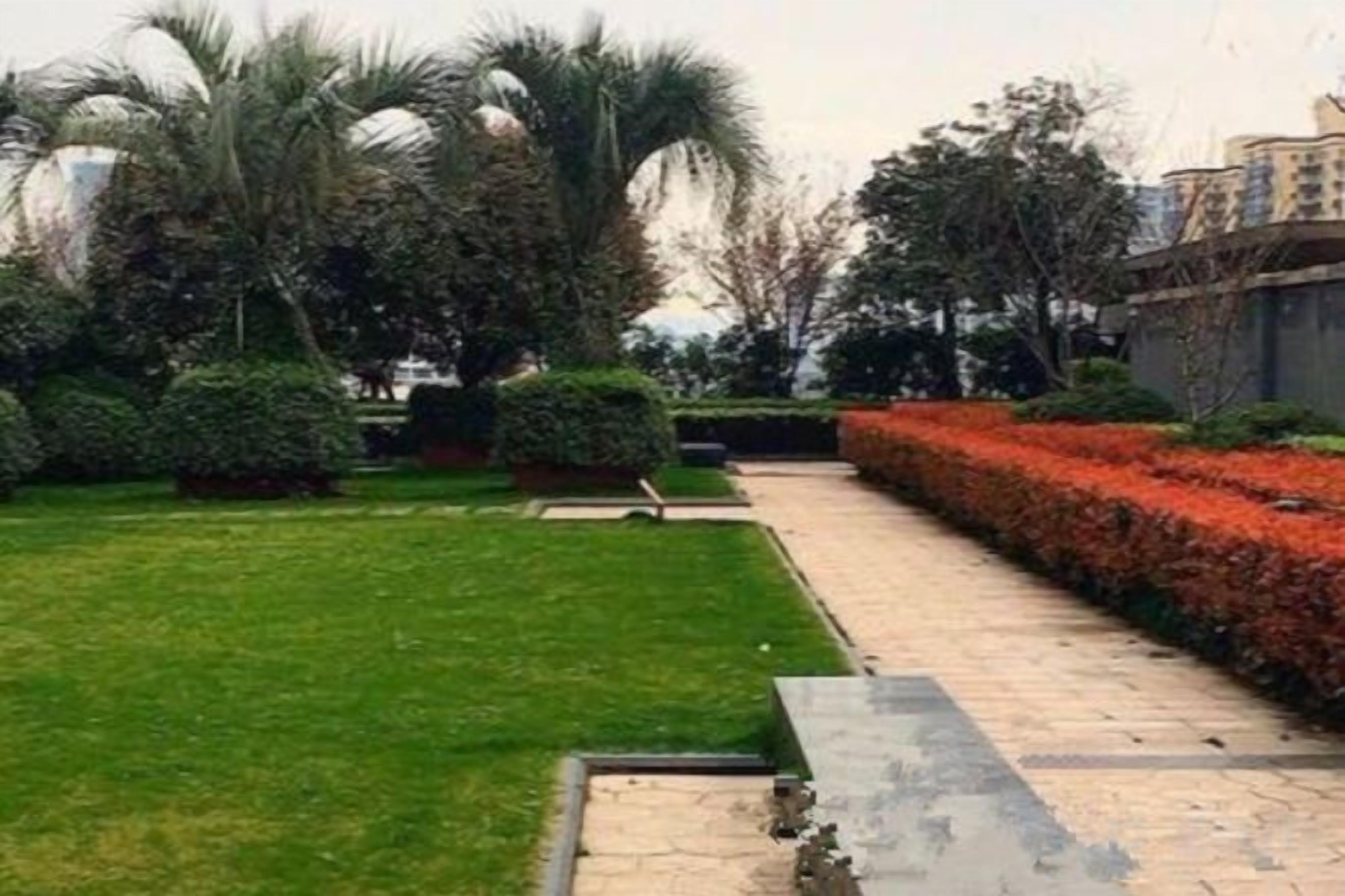 A landscaped garden with a pathway, grass, and various shrubs.