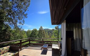 Suite Confort | Terraza o patio