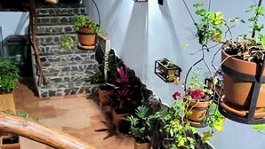 Een stenen trap met potplanten en een houten balkenconstructie.