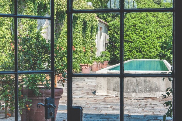 Vista a través de una ventana que muestra un patio empedrado, plantas en macetas y una piscina.