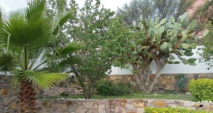 Garden and garage just for you! Loft 5 minutes from downtown Peña de Bernal.