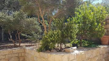 Parco della struttura