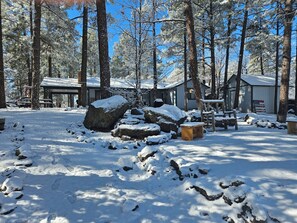 Property grounds - Snow Weekend Escape with Cozy Fire & Cocoa (Pinetop-Lakeside)