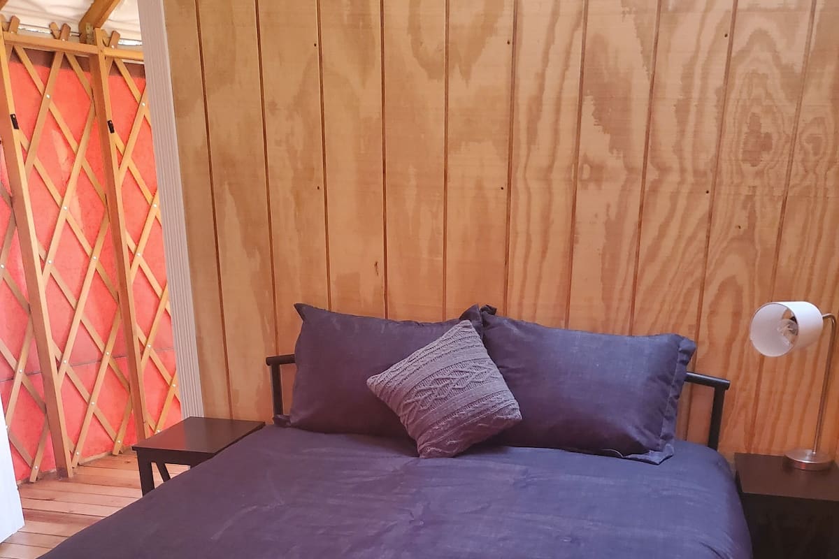 A bed with a dark blue bedspread and two pillows, a small table beside it, and a nightstand with a lamp.