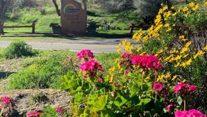 A sign for Canyon Creek Resort with a natural landscape in the background.