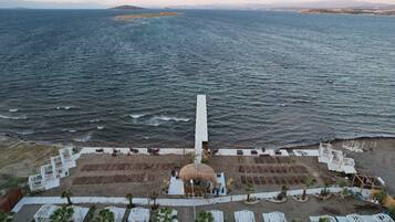 An aerial view of a beach resort with a central structure surrounded by rows of seating and palm trees.