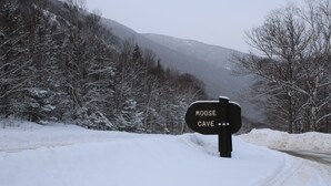 A snow-covered road with a sign reading "MOOSE CAVE".
