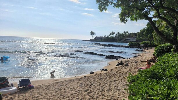 A beach with clear skies, a sandy shore, and some greenery.