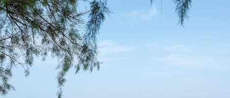 Una playa cerca