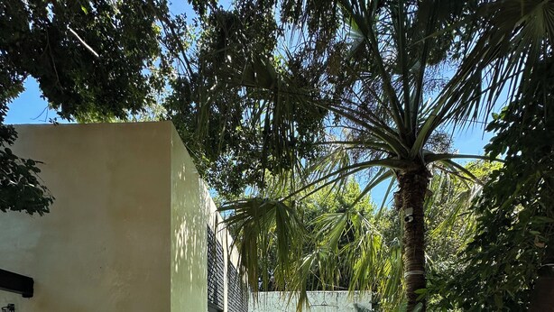 A swimming pool with a stone archway, surrounded by lush greenery and a clear blue sky. - Casa Shakti a paradise in the city (Mérida)