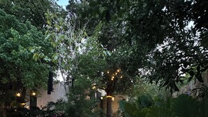 A stone pathway leading through a lush garden with various plants and trees, surrounded by a stone wall and a building with a window. - Casa Shakti a paradise in the city (Mérida)