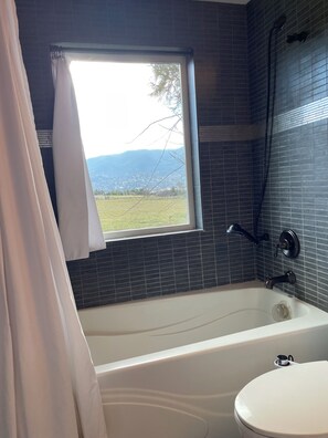 Haartrockner, Bidet, Handtücher, Seife