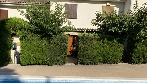 En swimmingpool med en kant av kakel, omgiven av en stenlagd gångväg och tät, grön buskvegetation.
