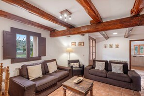 TV, fireplace, ping pong