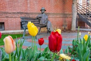 Property grounds - Newly Renovated! Walk to campus! "Another Spot that Calls" (Oxford)