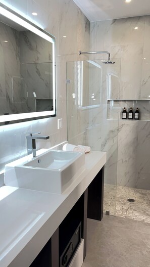 Habitación estándar, 2 camas de matrimonio, vistas a la ciudad | Baño | Ducha, secador de pelo, toallas y jabón