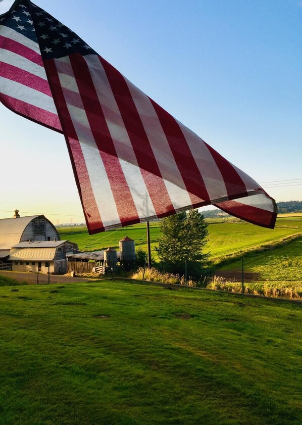 Unclassified image, 1 of 15, button