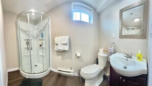 A bathroom with a glass shower enclosure, a toilet, a sink, and a mirror.