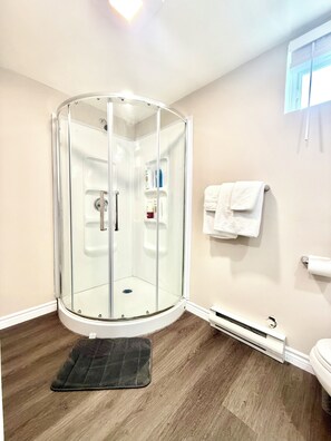 Hair dryer, towels, soap, shampoo