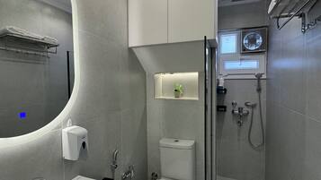 Shower, hair dryer, bidet, towels