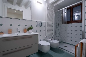 Shower, hair dryer, bidet, towels