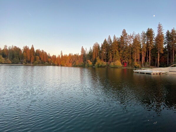 Un lago tranquilo con un muelle y árboles al fondo.