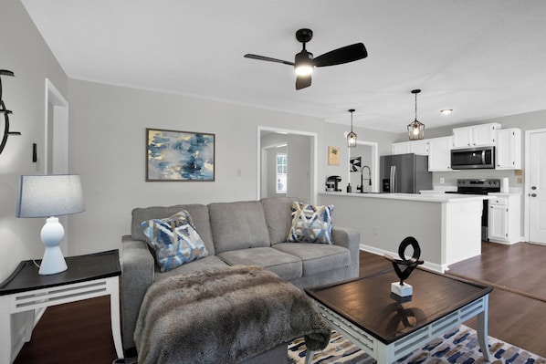 Smart TV, fireplace, books