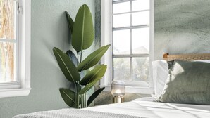 Ein Schlafzimmer mit einem Bett, einer Nachttischlampe, einer großen Grünpflanze und einem Fenster mit Blick auf Bäume.