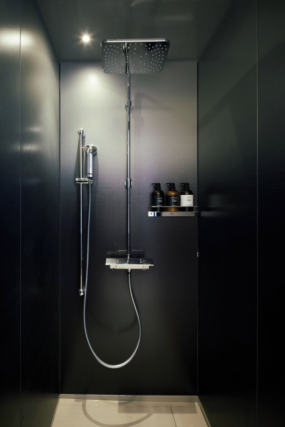 Une douche moderne dotée d’un pommeau de douche à main et d’un pommeau de douche à pluie fixé au mur.
