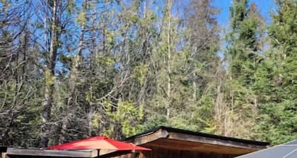 Serenity Lane Stay: Private cabin in the woods on an animal sanctuary