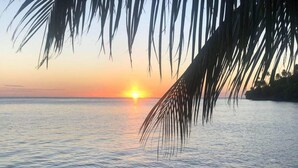 Een zonsondergang boven kalm water met palmbladeren op de voorgrond.