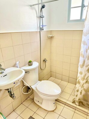 Shower, hair dryer, bidet, towels