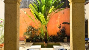 Outdoor pool - Casa Zarah - Alma Hotels (Santa Marta)