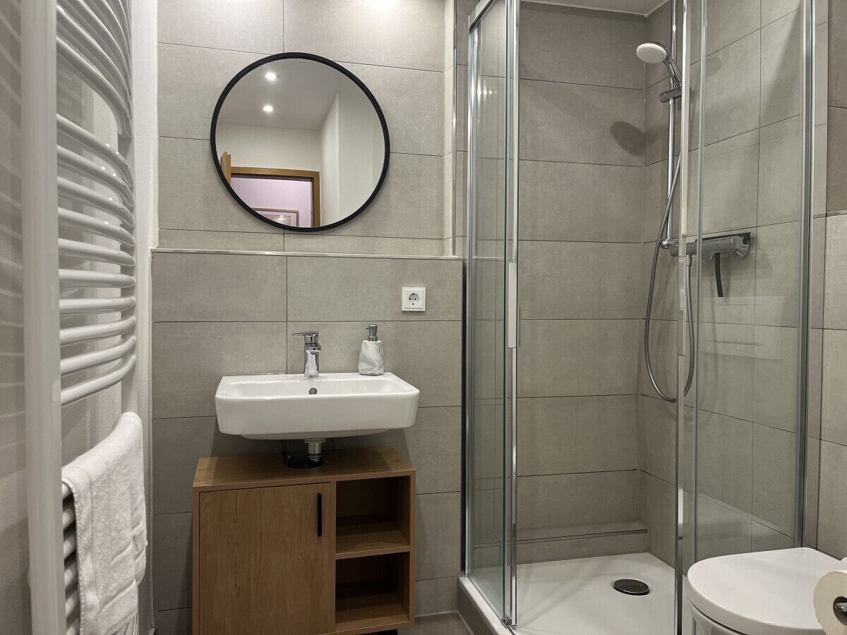 A modern bathroom with a glass shower enclosure, a sink with a mirror above, and a toilet.