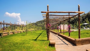 A vineyard with wooden pergolas and a stone pathway.