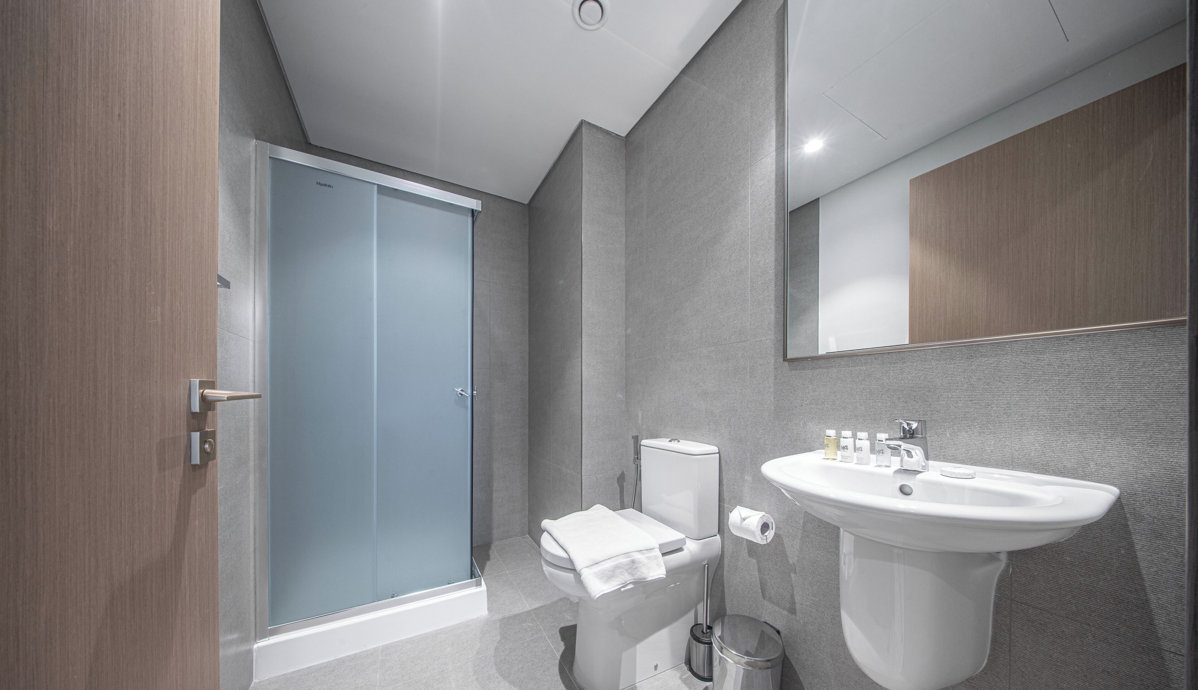 A modern bathroom with a glass shower door, a toilet, a sink, and a mirror.